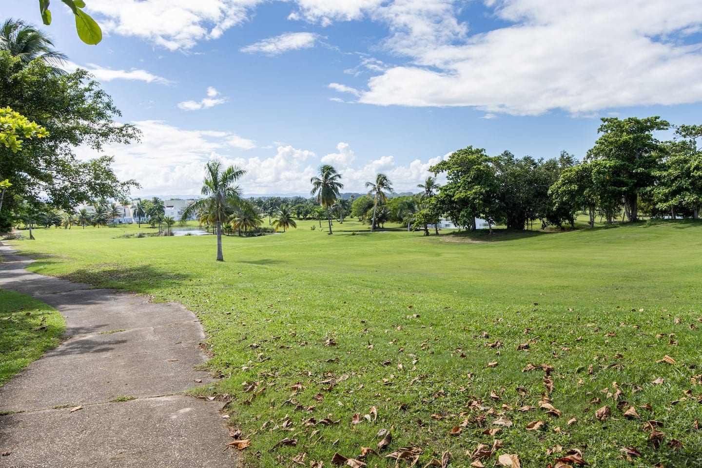 The golf course, palms and lagoon beside Dorado Beach Studios in Dorado, Puerto Rico